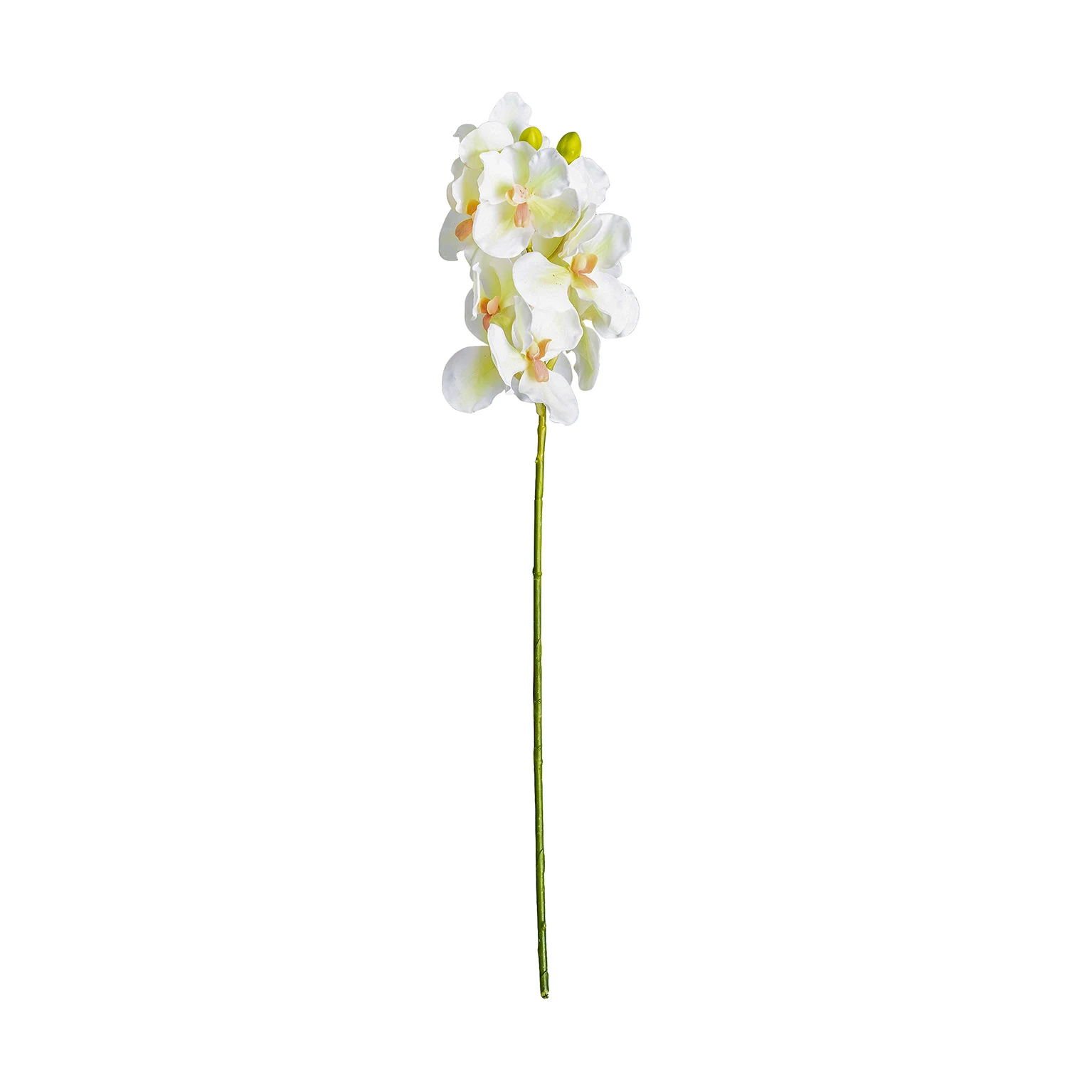 FLOARE AZAHAR VicalHome 26361 [4]