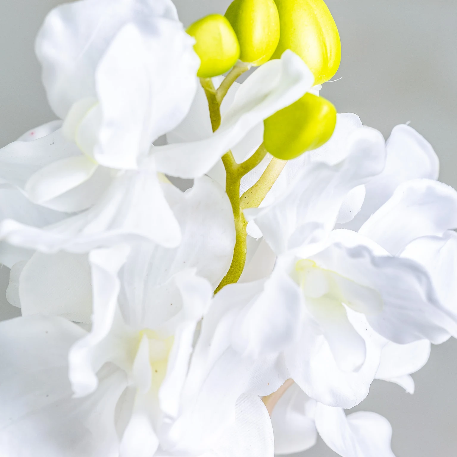 FLOARE AZAHAR VicalHome 26360 [6]