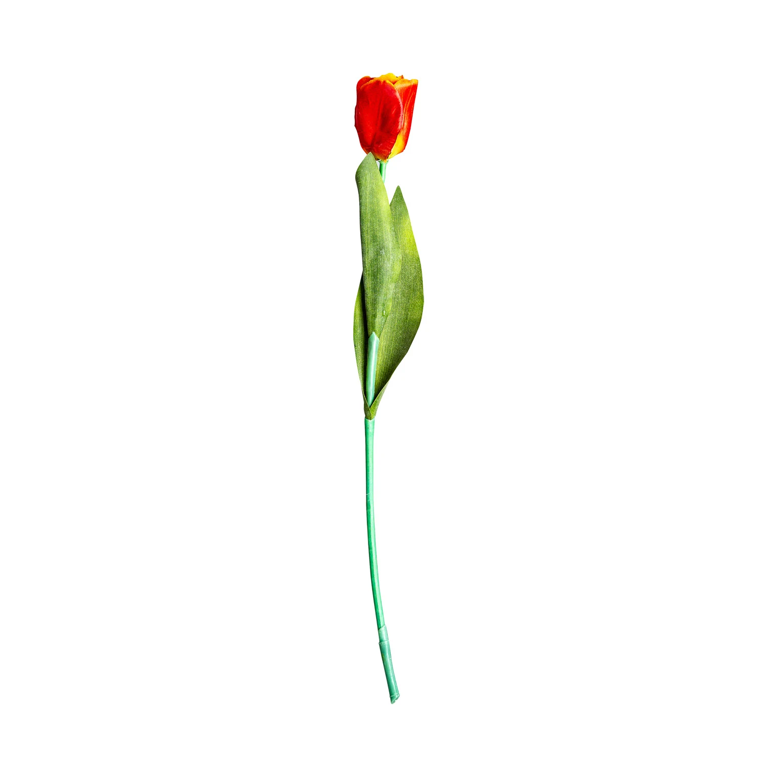 Floare de lalea VicalHome 26352 [3]