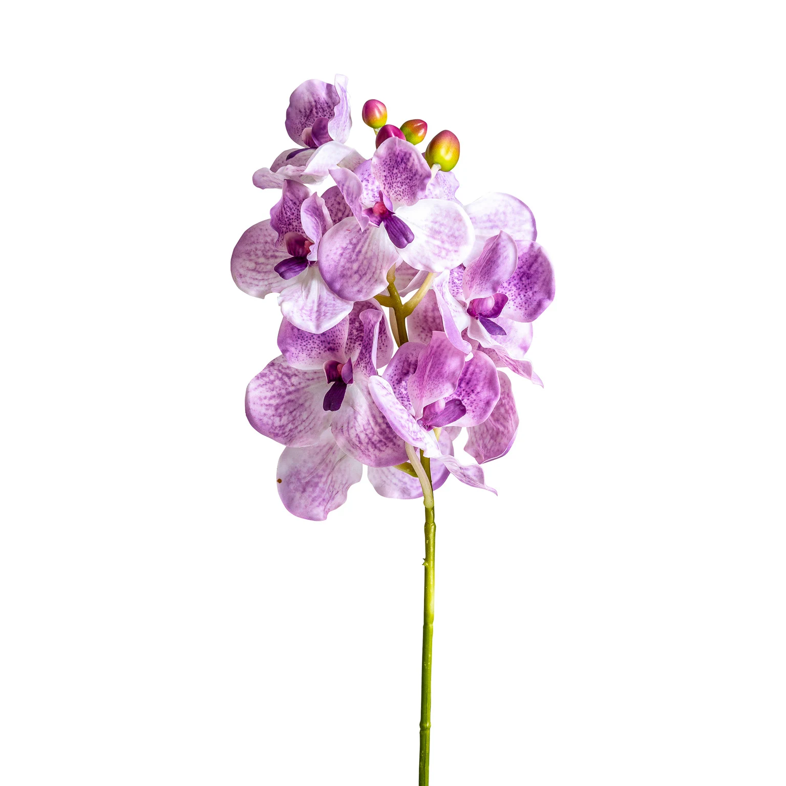 FLOARE DE ORHIDEE VicalHome 26423 [3]
