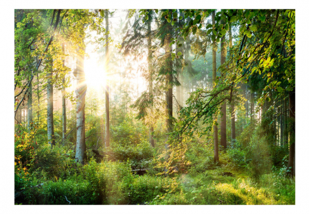 Fototapet autoadeziv - Untamed Nature [1]