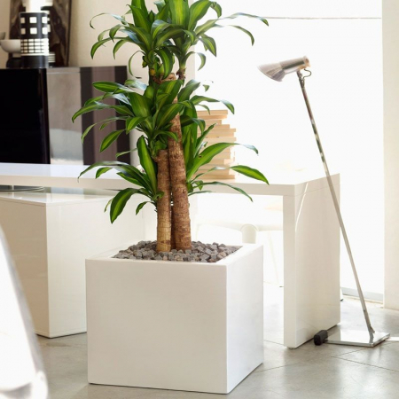 Ghiveci flori gradina forma cub LED Cube 50x50x50 cm, 41350A - Vondom [4]