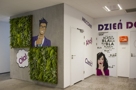 Gradina verticala Alpina [8]