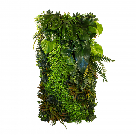 Produse - Grădina verticală Arbust botanic