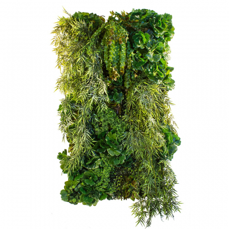 Produse - Grădină verticală Asian Breeze