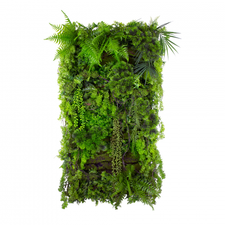 Produse - Grădină verticală de pin de munte