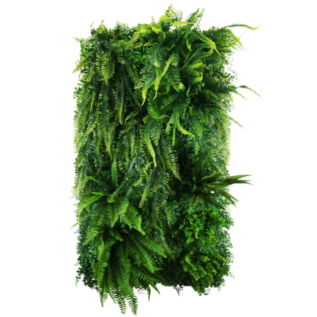 Produse - Grădină verticală Easy Fern