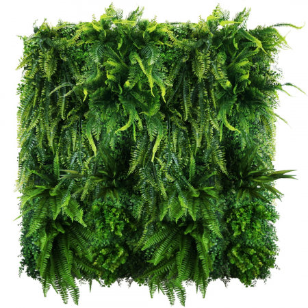 Grădină verticală Easy Fern [1]