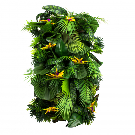 Produse - Grădină verticală Exotic Vibe