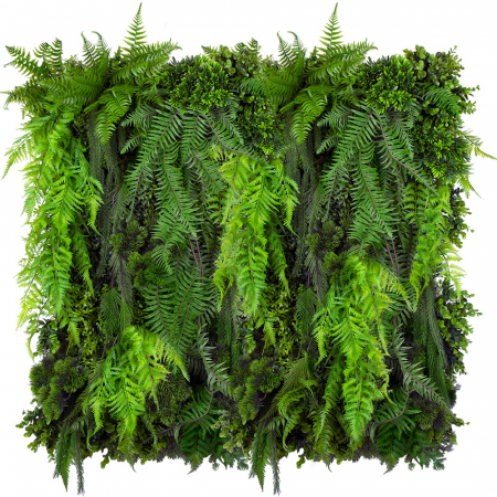 Grădină verticală Fern Cascade [1]