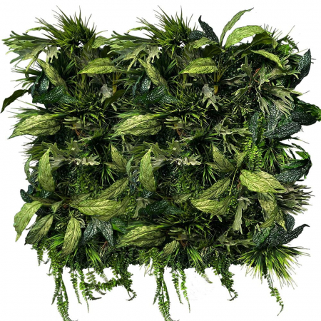 Gradina verticala Flora Twist [1]