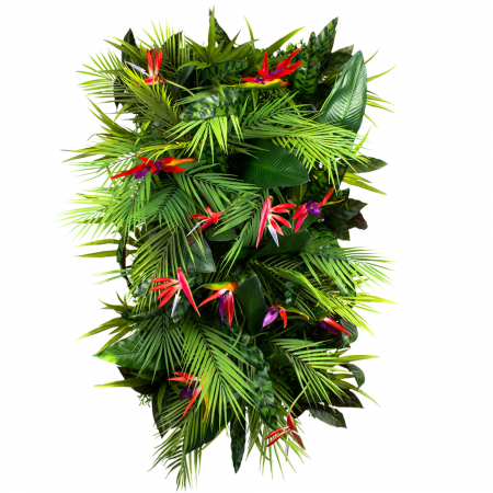 Produse - Gradina verticala Fructul pasiunii
