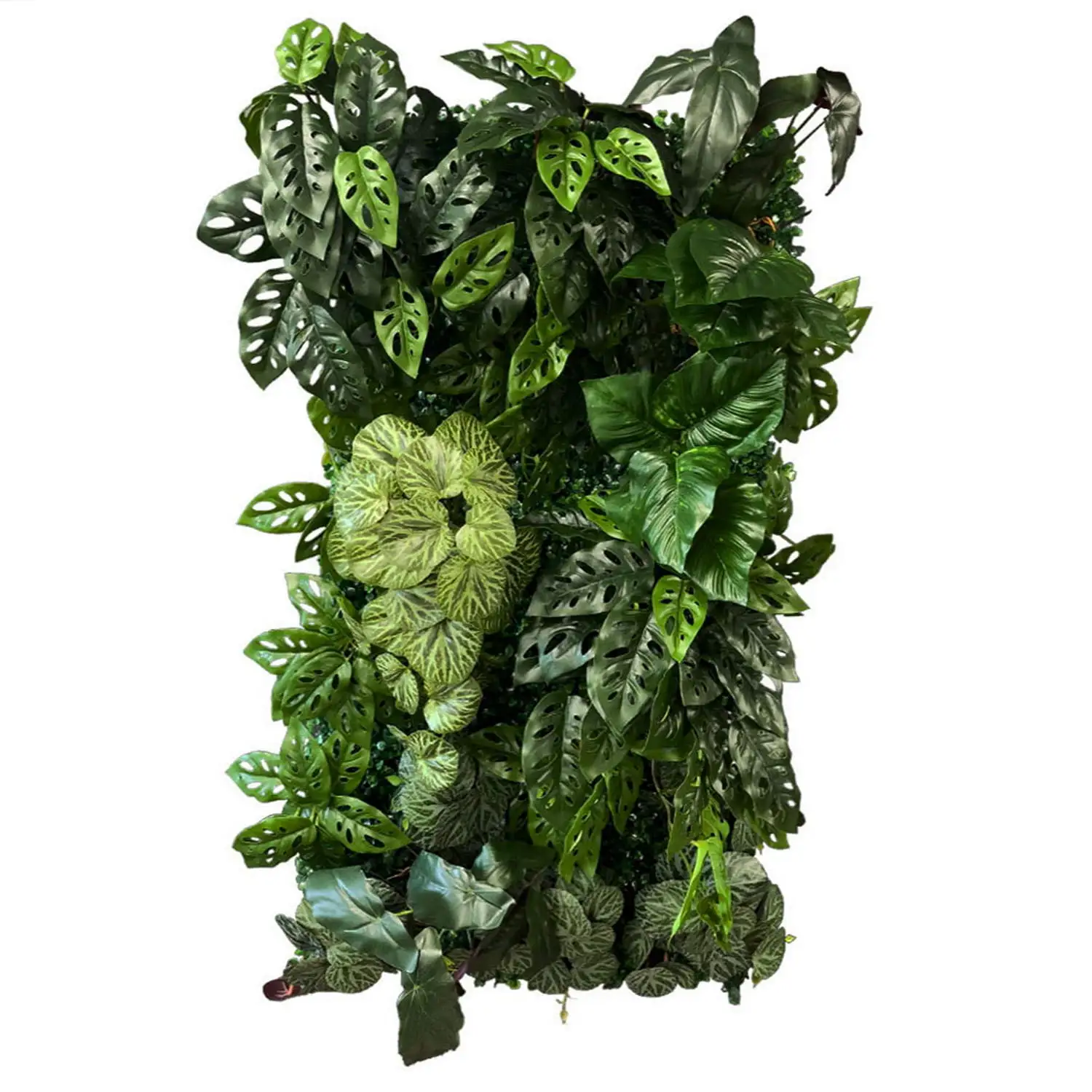 Produse - Grădină verticală Funky Monkey