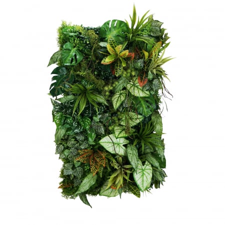 Produse - Grădină verticală Maya Ray