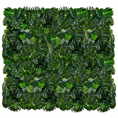 Grădina verticală Monstera Madness [2]