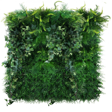 Grădină verticală Mossy Dark [1]