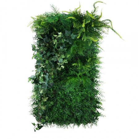 Produse - Grădină verticală Mossy Dark