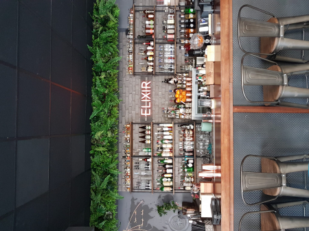 Grădină verticală Pădure tropicală [3]