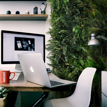 Grădină verticală Pădure tropicală [2]