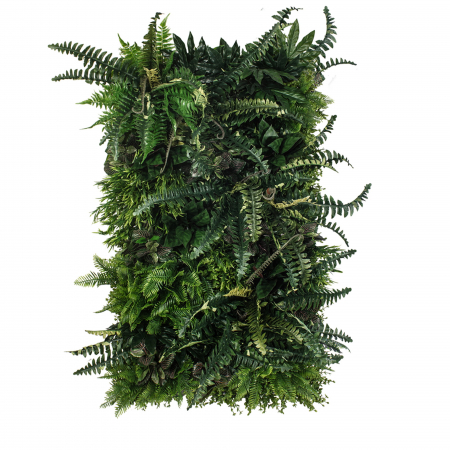 Produse - Grădină verticală Pădure tropicală