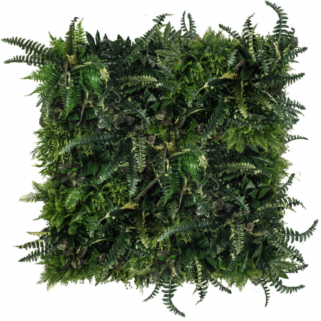 Grădină verticală Pădure tropicală [1]