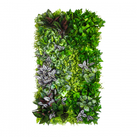 Produse - Gradina verticala Podgorie