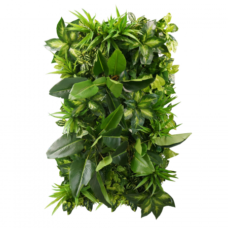 Produse - Grădină verticală Prospețime tropicală