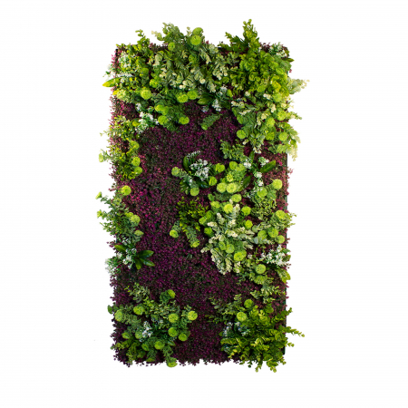 Produse - Grădină verticală Purple Haze