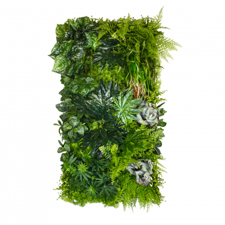 Produse - Gradina verticala Tropicala