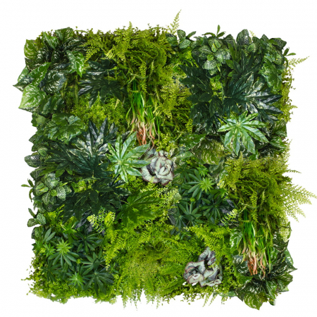 Gradina verticala Tropicala [1]