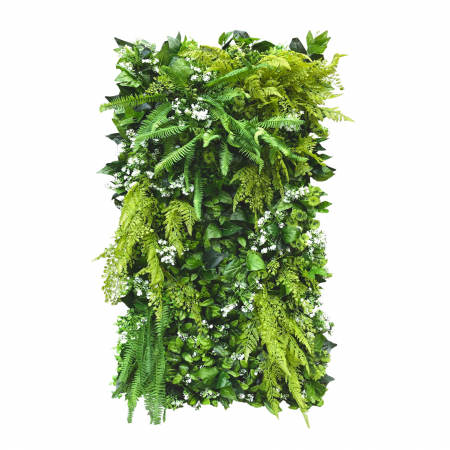 Produse - Grădină verticală White Daisy