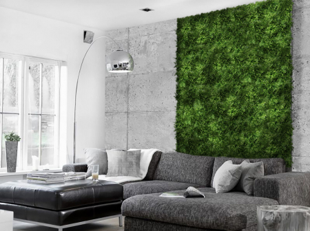 Green Wall Brusznica 50x50cm [2]