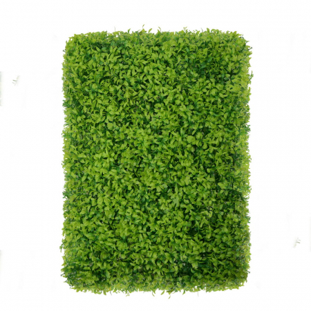 Produse - Green Wall Buxus 40x60