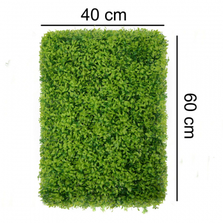 Green Wall Buxus 40x60 [1]