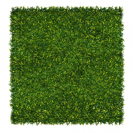 Green Wall Dziurawiec 40x60 [2]