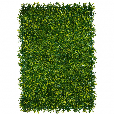 Panouri pe covoras Premium - Green Wall Dziurawiec 40x60