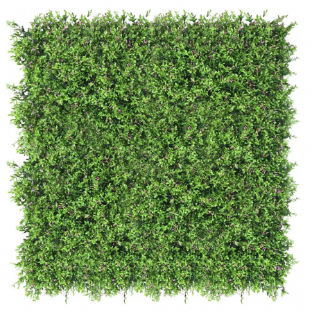 Green Wall Fumaria 40x60 [1]