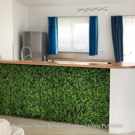 Green Wall Fumaria 40x60 [4]