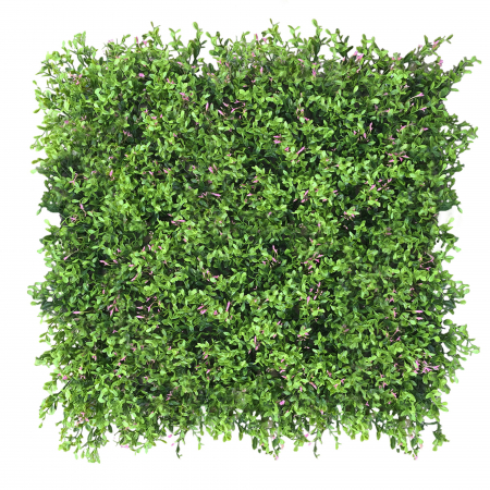 Panouri pe covoras Premium - Green Wall Fumaria 40x60