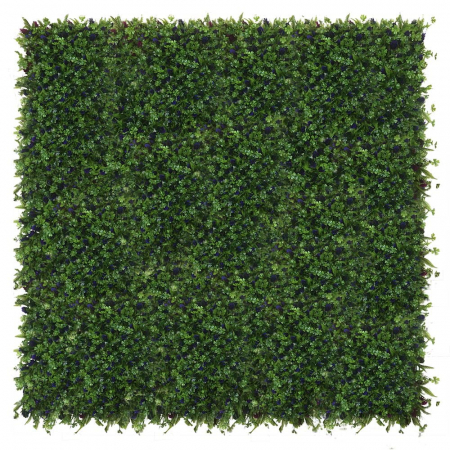 Green Wall Glicynia 40x60 [2]