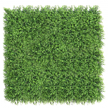 Green Wall Jemiola 50x50 [1]