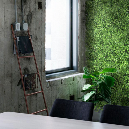 Green Wall Jemiola 50x50 [4]