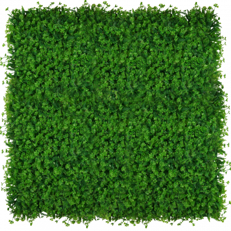 Green Wall Koniczyna 40x60 [1]