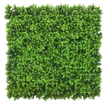 Produse - Green Wall Lebiodka 50x50