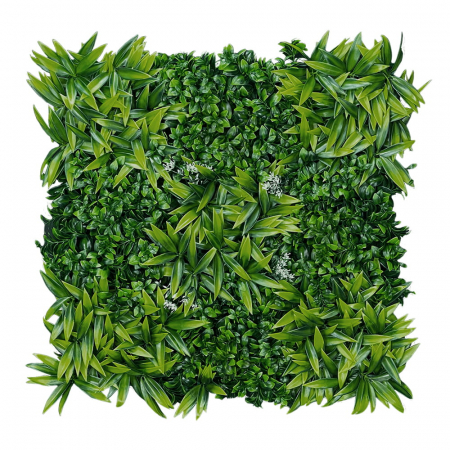 Produse - Green Wall Lemon tree 50x50cm