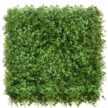 Produse - Green Wall Lubczyk 50x50