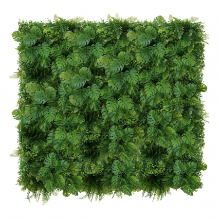 Produse - Green Wall Monstera 50x50cm