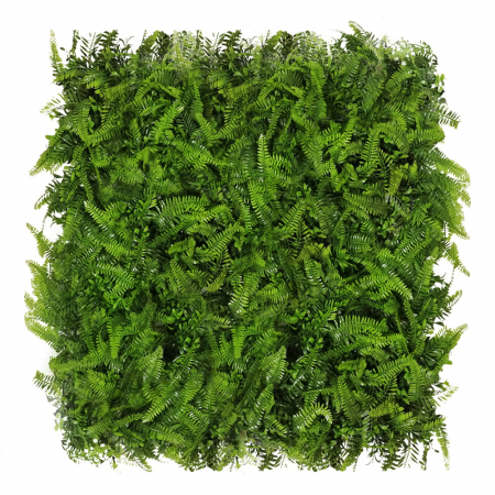 Panouri pe covoras Premium - Green Wall Paprotnik 50x50