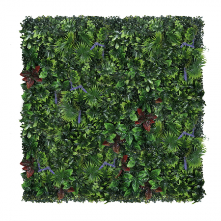 Green Wall Pasărea Paradisului 50x50cm [1]
