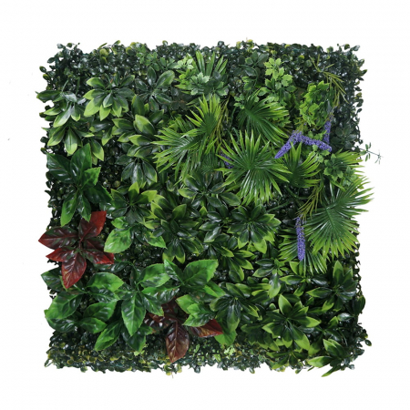 Produse - Green Wall Pasărea Paradisului 50x50cm
